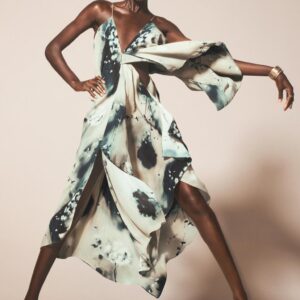 PRINTED DRESS - THE ITEM