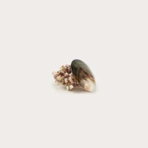 MARISA BERENSON X ZARA SHELL BEAD ELASTIC BRACELET