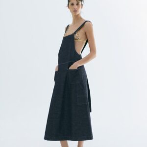 ZW COLLECTION DENIM DRESS
